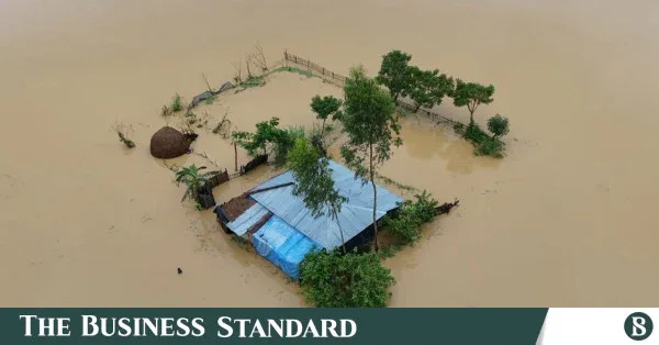 বন্যায় ১৪০.৮২ কোটি টাকার সবজি নষ্ট, চট্টগ্রামে দাম বেড়েছে ২০-৫০ টাকা