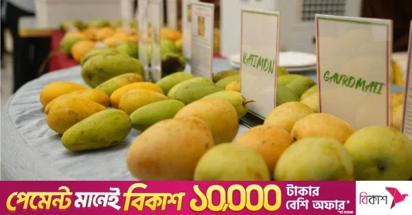কাঠমান্ডুতে প্রদর্শিত হলো রাজশাহীর বিভিন্ন জাতের আম