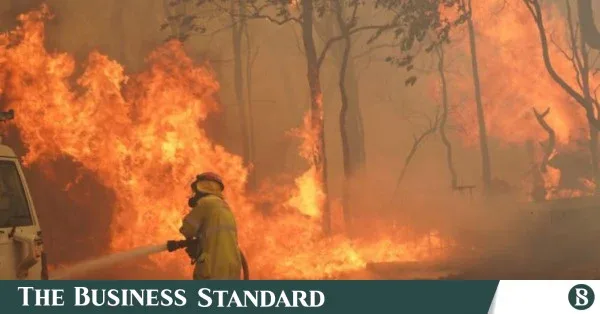 Australia integrates AI and Indigenous wisdom for bushfire management
