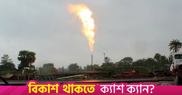 দক্ষিণাঞ্চলে শিল্পায়নের জন্য ভোলার গ্যাস ব্যবহারের আহ্বান