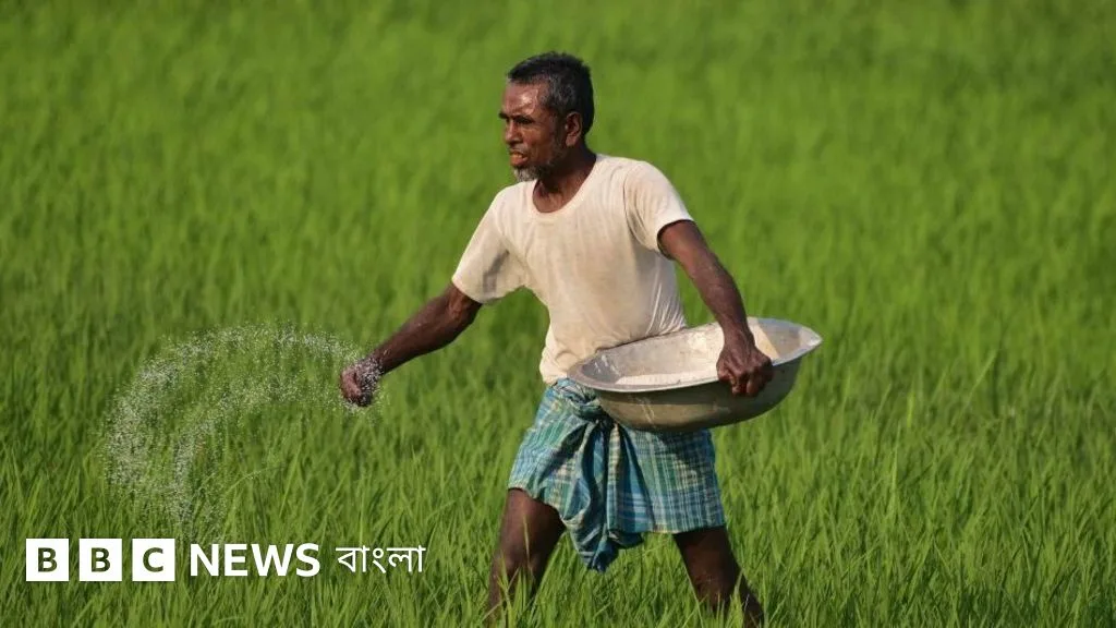ন্যানো ফার্টিলাইজার: কৃষি ও পরিবেশের জন্য নতুন সম্ভাবনা