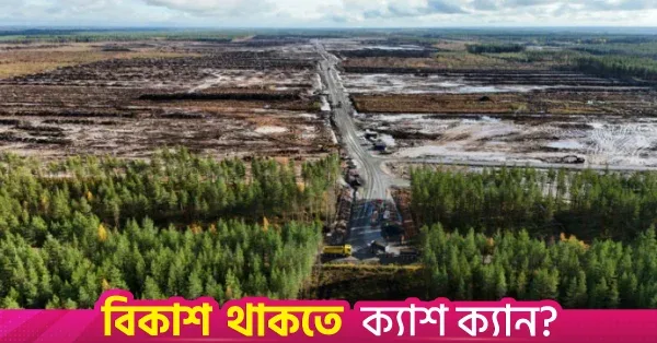 গুগল সংশ্লিষ্ট বন উজাড় নিয়ে ফিনল্যান্ডে তদন্ত